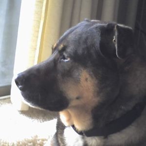 Meet your Posher, Shuri